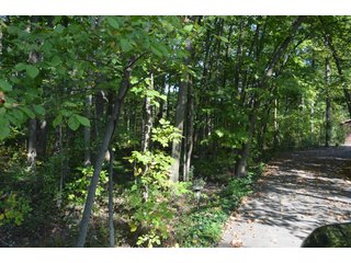 Property photo 29 - REAL ESTATE AUCTION IN ALLEN CO., INDIANA